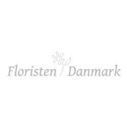 Medlem af Floristen Danmark